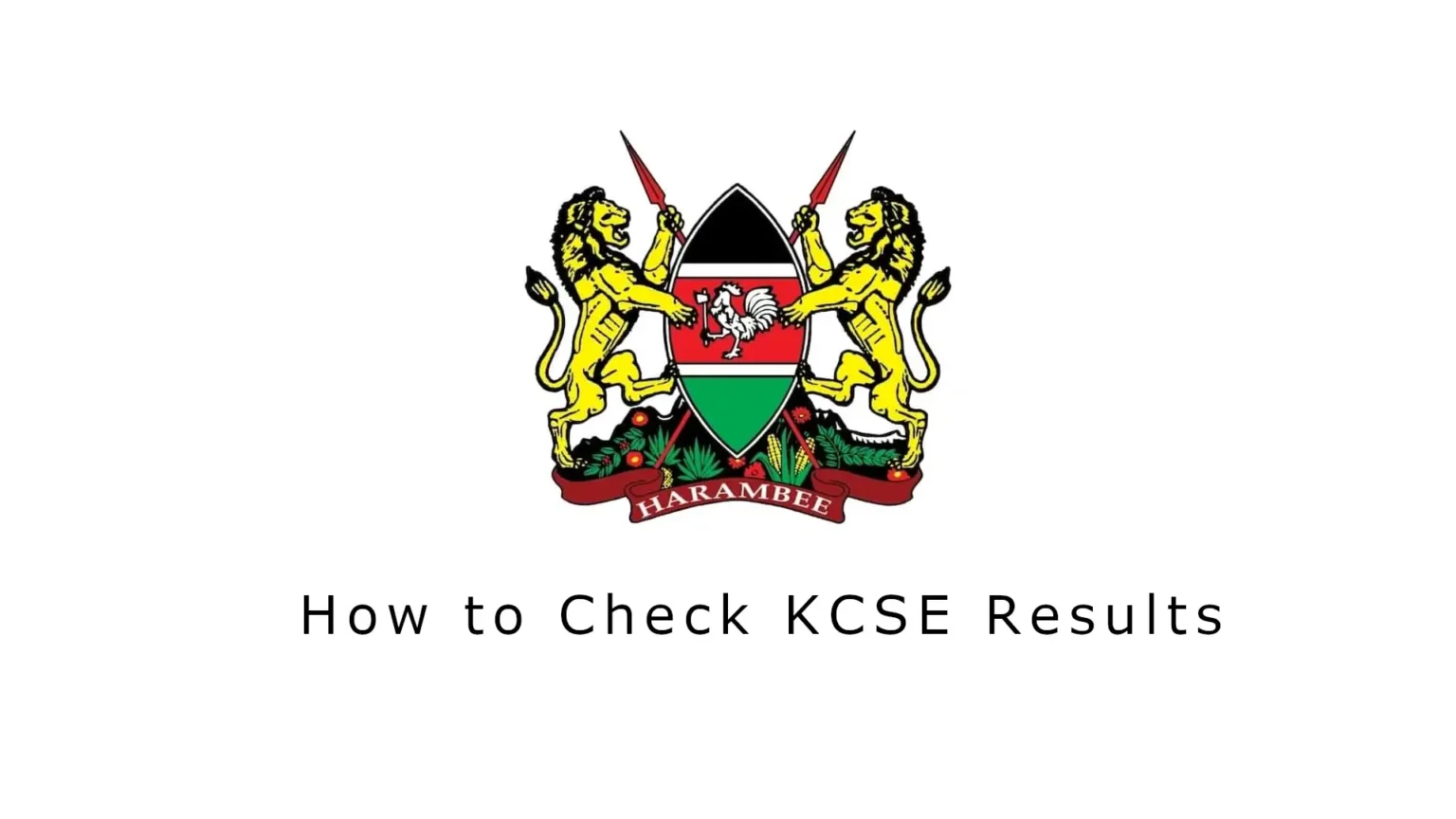 How to check KCSE 2023 results via SMS and KNEC Portal