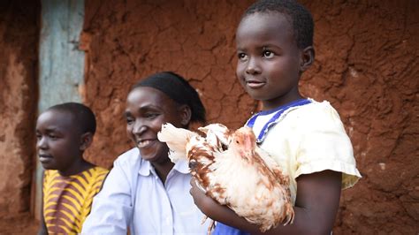 Uganda School Adds a Feathery Twist, Mandating New Learners to Bring Live Chickens on the First Day